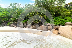 Rocks and palm trees in famous Anse Georgette beach in Praslin island