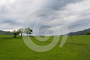 Rocks and pastures