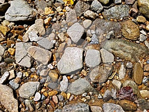 rocks and pebbles