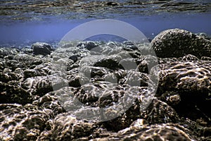 Rocks and Pebbles, pebbles below water