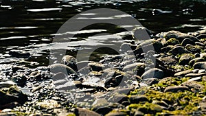 Rocks and pebbles by river side water