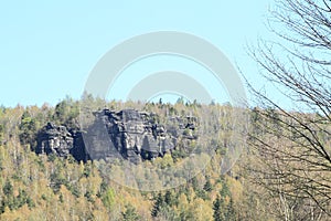 Rocks among pine and birch trees in Czech Switzerland