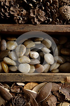 Rocks pine cones potpourri in wooden box