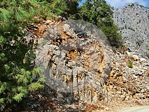 Rocks and pine trees in the canyon Goynuk in Turkey