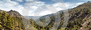 Rocks, pine trees and mountains in central Corsica