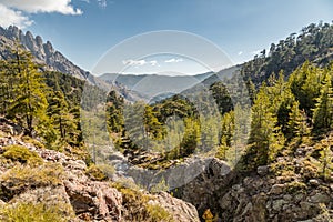 Rocks, pine trees and mountains in central Corsica