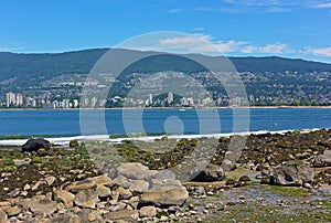 Rocks with plentiful food for birds at low tide and Vancouver suburban panorama on horizon.