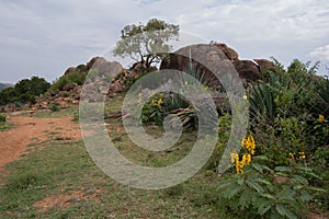 Rocks in the region of Kenya