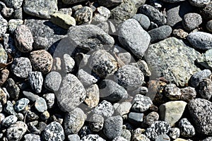 rocks in river water background