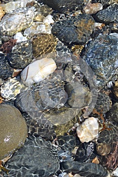 Pebbles on the Beach with Lapping Sea Water. Rock pool, Mediterranean Sea. photo