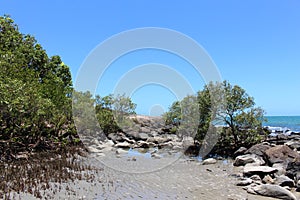 Rocks, rockpools and trees with blue sea in background.