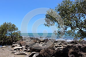 Rocks, rockpools and trees with blue sea in background.