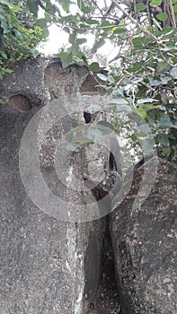 Rocks and Roots have been the highlight