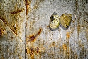 Rocks on the rusty metal sheet