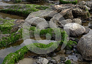 Rocks sand barnacles and water pools on beach