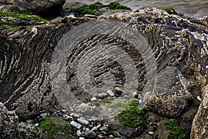 Rocks sand barnacles and water pools on beach