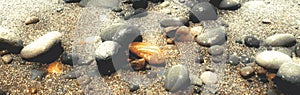 Rocks on the sand beach