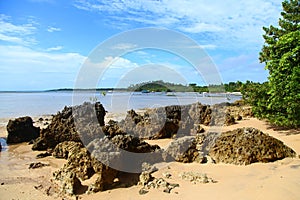 Tropical beach in sunny day, Morere beach in low tide water. Bahia state, Brazil photo