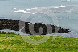 Rocks on the seashore. Green spring grass. White foam on the sea waves