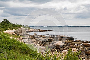 Rocks and seaweed on the coast photo