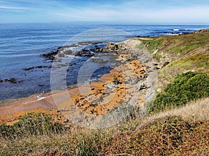 Rocks, seaweed and grass vegetated slopes of the Katiki Point beach in the Otago region of the South Island of New Zealand