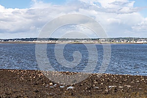 Rocks and seaweed in Hare Island with  Galway city in background