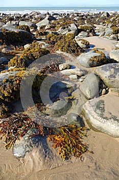 Rocks and seaweed on Welsh beach