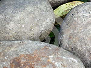 Rocks seen up close