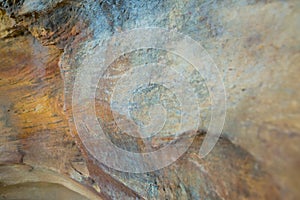 Rocks of Serra da Capivara, Piaui, Brazil