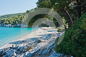 Rocks in a shade of a pine trees at morning, Kastani Mamma Mia beach, island of Skopelos