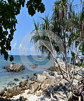 the rocks on the shore of the dolphins on the island of bintan photo