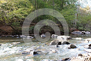 Rocks and small boulders creating small rapids in the Eno River lined by trees and a trail in Eno River State Park, North Carolina