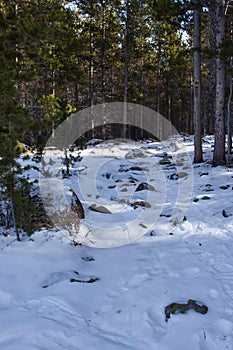 Rocks and snow on a trail in the Bighorns