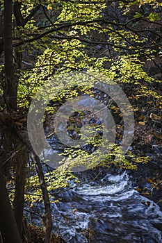 Rocks of Solitude Gorge on the North Esk River in Scotland.