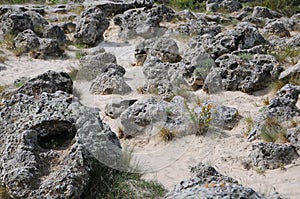 Rocks and stones on sandy soil