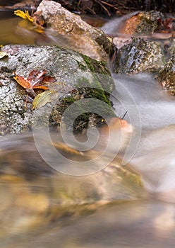 Rocks in a stream