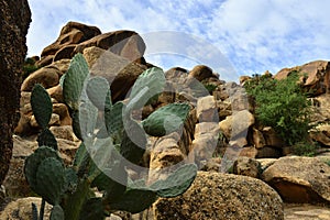 rocks in Tafroute