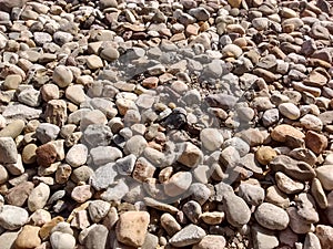 Rocks Texture