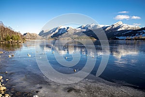 Rocks on top of ice crust of the frozen Oltedalsvatnet lake and scenic landscape of mountains