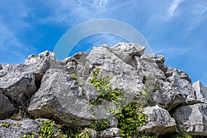 Rocks at Tout Quarry, Isle of Portland, Dorset