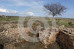 Rocks and tree on a hill top