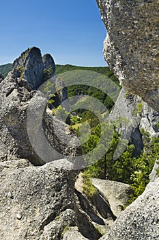 Rocks and trees