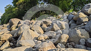 Rocks and trees along the Progo river