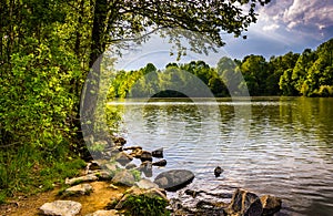 Rocks and trees along the shore of Centennial Lake in Centennial