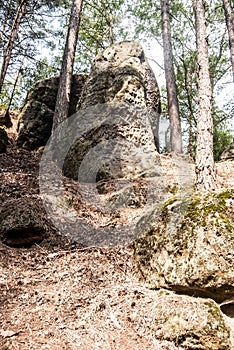 rocks with trees around in CHKO Kokorinsko in Czech republic