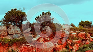 Rocks and trees