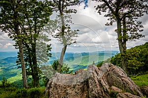 Rocks and trees at Jewell Hollow Overlook in Shenandoah National