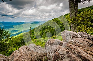 Rocks and trees at Jewell Hollow Overlook in Shenandoah National