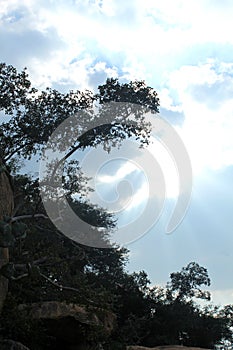 Rocks and trees with sky hill landscape of sittanavasal.