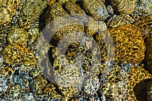 Rocks under under clear water.Water stream.Water texture.Water reflection.Summer background